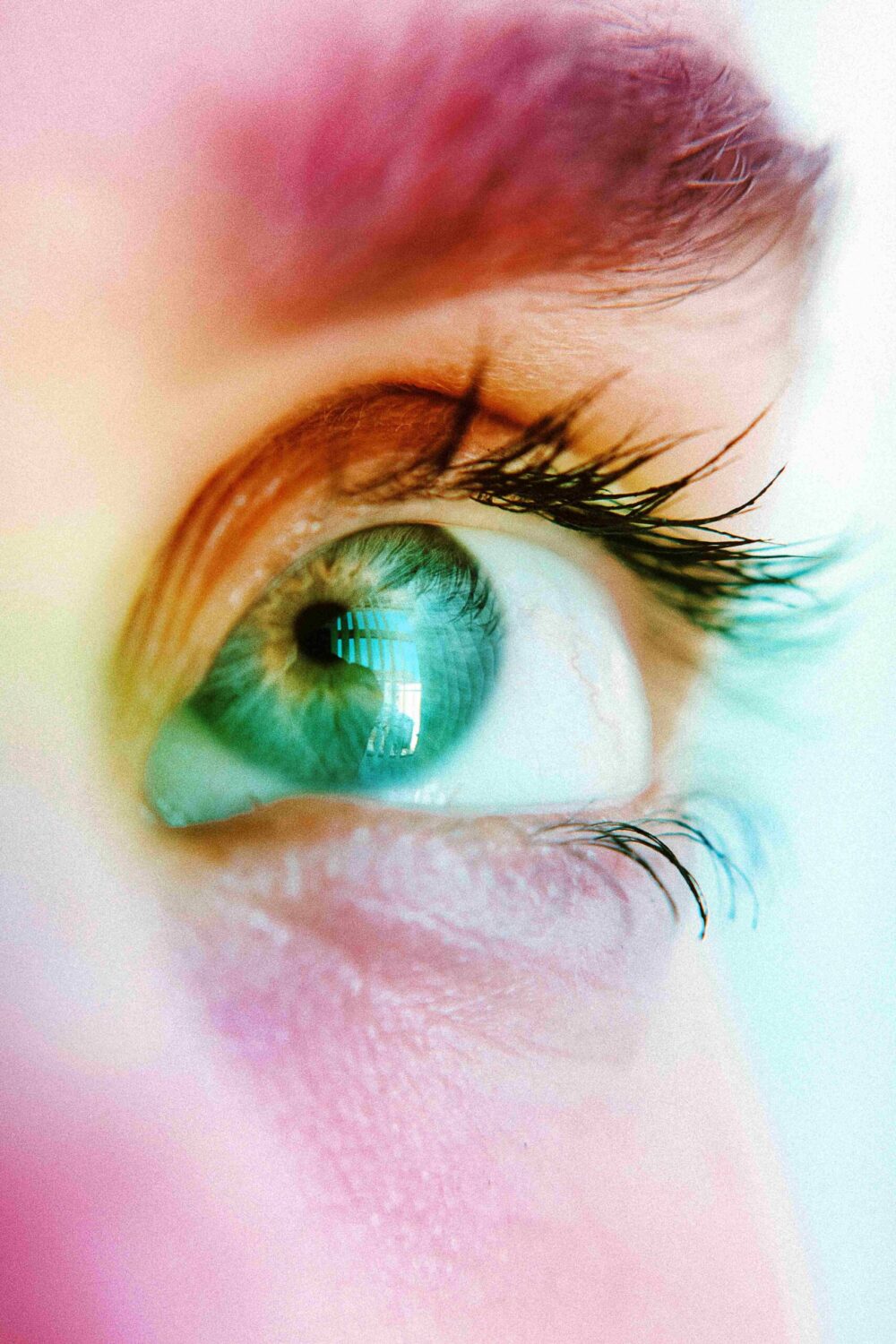Color: Its characteristics and research